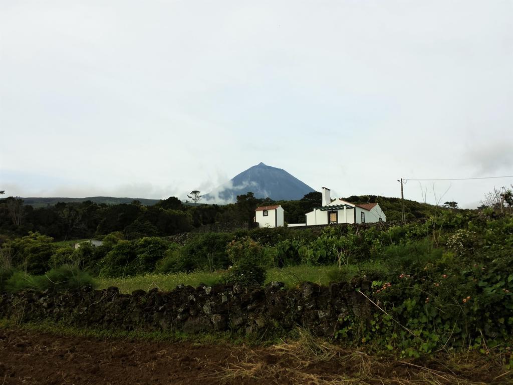Villa Casa Do Paim São Roque do Pico Exterior foto