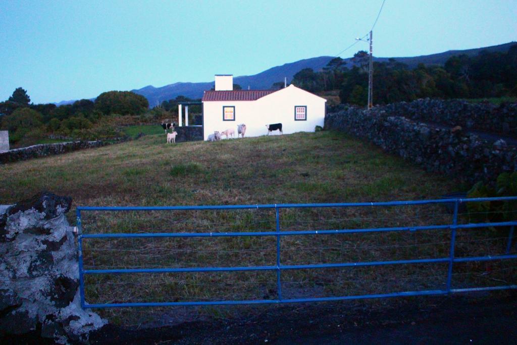 Villa Casa Do Paim São Roque do Pico Exterior foto