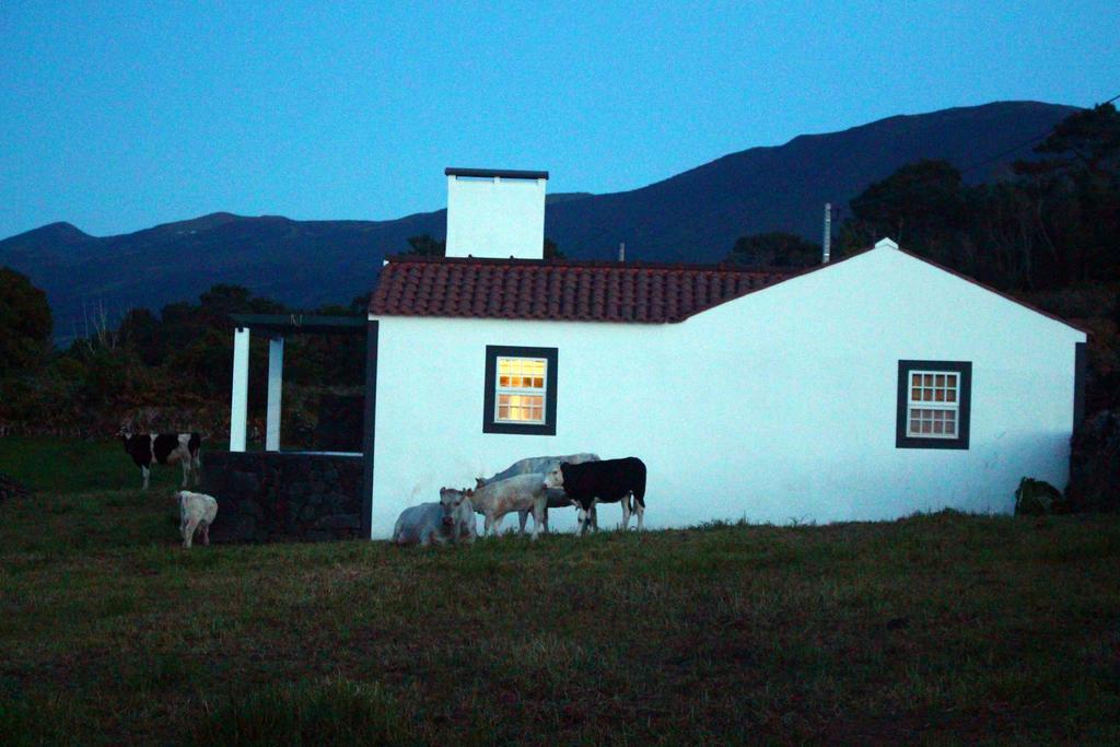 Villa Casa Do Paim São Roque do Pico Exterior foto